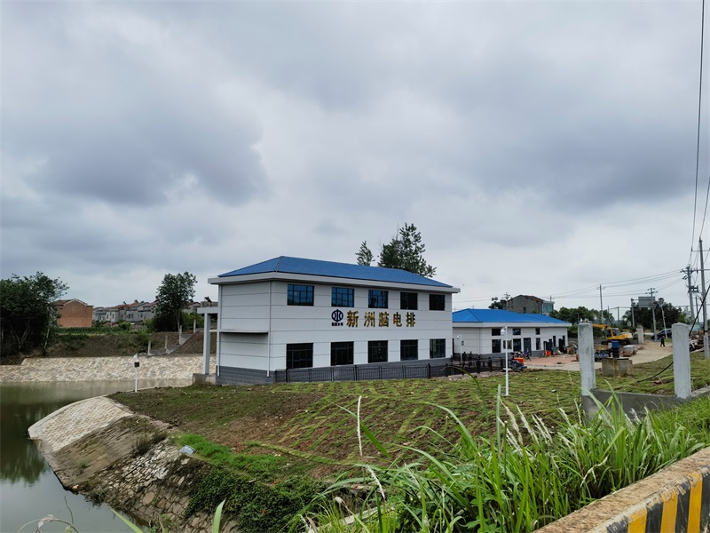 临湘新洲脑电排项目