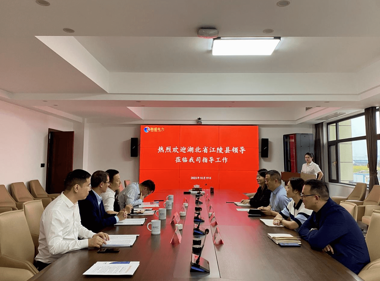 湖北省江陵县领导莅临融盛电力集团考察交流
